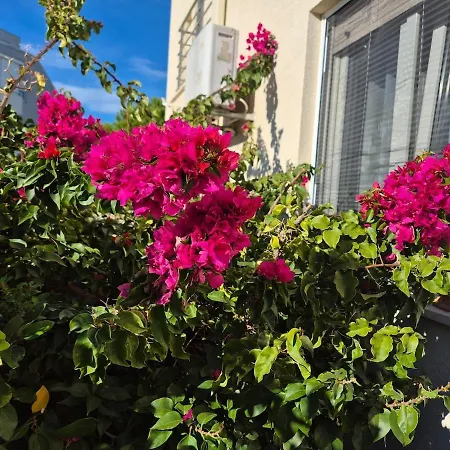 Fani With Lovely Garden , Near The Sea Apartment *