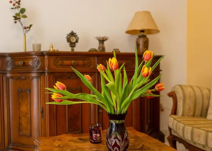 Fani With Lovely Garden , Near The Sea * Split