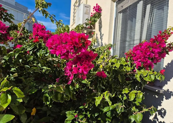 Fani With Lovely Garden , Near The Sea Apartment *